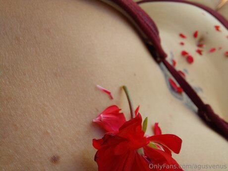 Agusvenus art pornstar picture