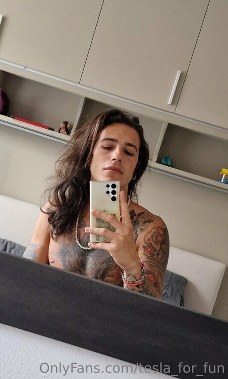 Tesla For Fun model top photo