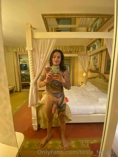 Tesla For Fun nude star img