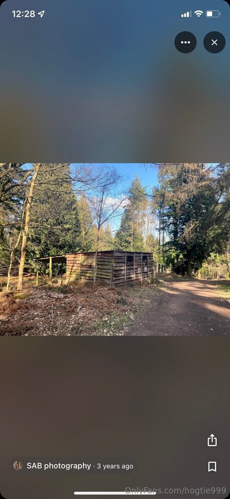 Hogtie999 pornstar adult pic