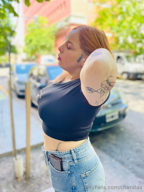 Chanitax perfect star archive