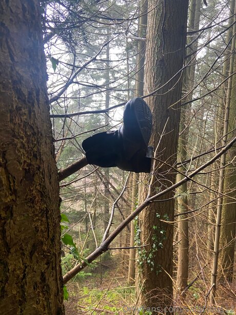 Salacious12 star exclusive gallery