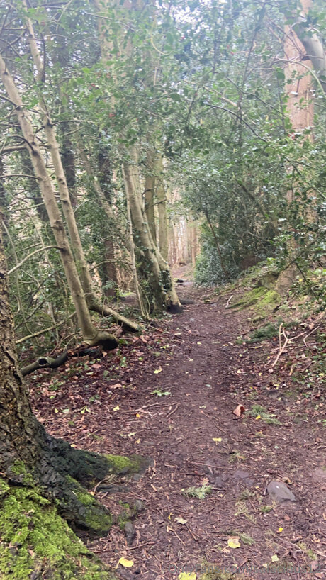 Salacious12 perfect actress pictures