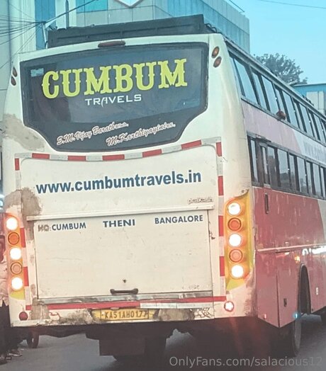 Salacious12 adult star img