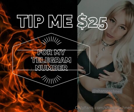 Sharonschneii star nudes pics