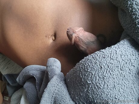 Yiphyrz best pornstar galleries