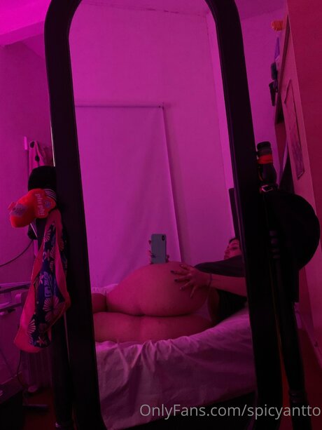 Spicyantto art model image