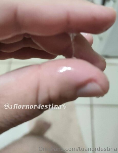 Tuanordestina exclusive star image