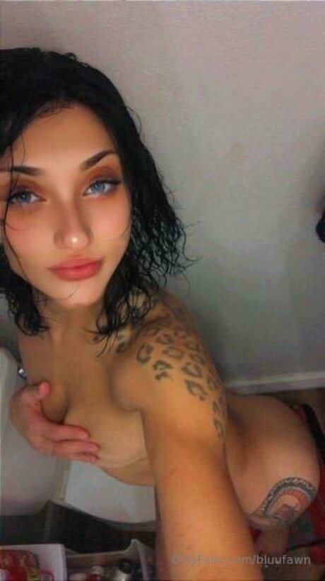 Squarebusiness best star archive