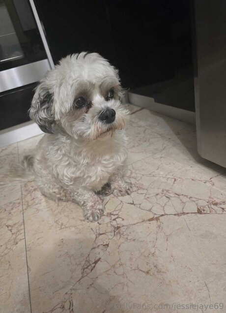 Jessiejaye69 star high quality images