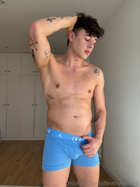 Dimitrysimonit model adult picture