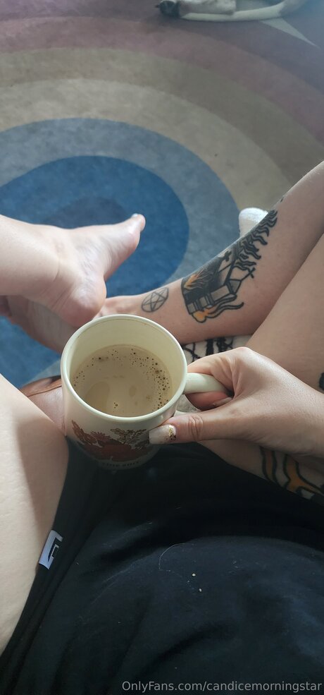 Candicemorningstar pornographic actress pic