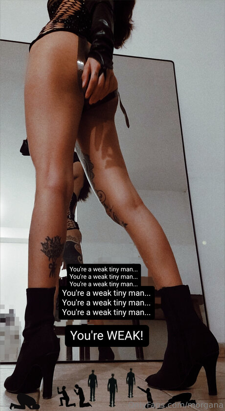 Morgana sexy star image