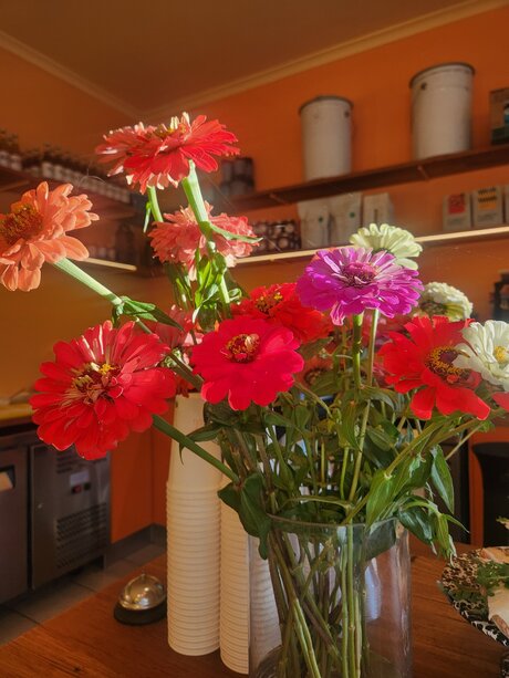 Helloeloise hd actress pictures