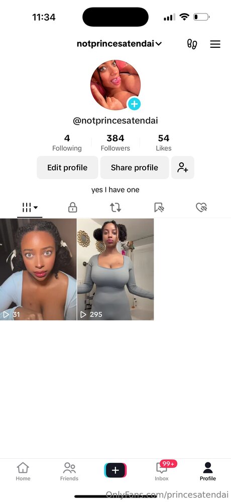 Princesatendai pornstar free archive