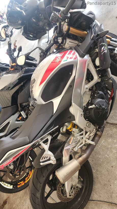 Pandaparty15 nude actress pictures