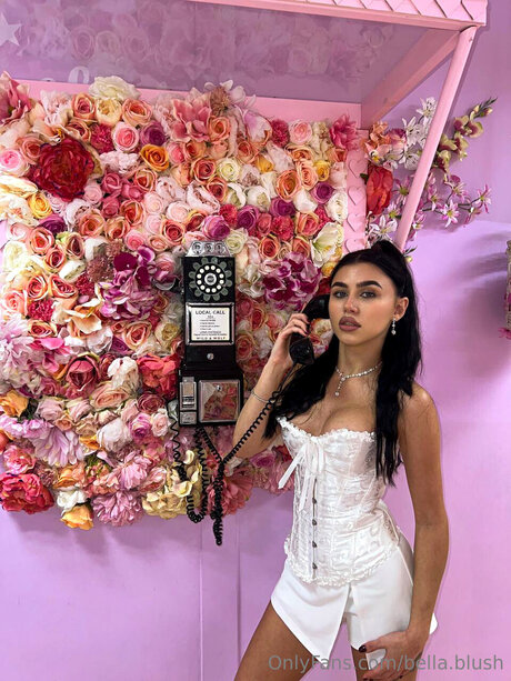 Bellabllush star free img