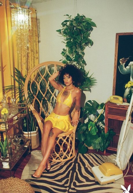 Sunnibytch free model img