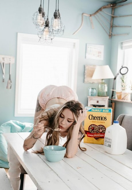 Piper CJ model xxx img