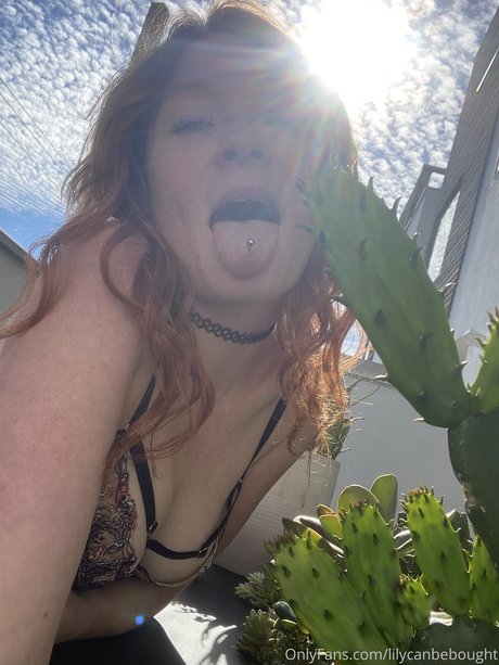 lily ana pornographic actress image