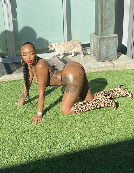 Shay brown nude pornstar photo