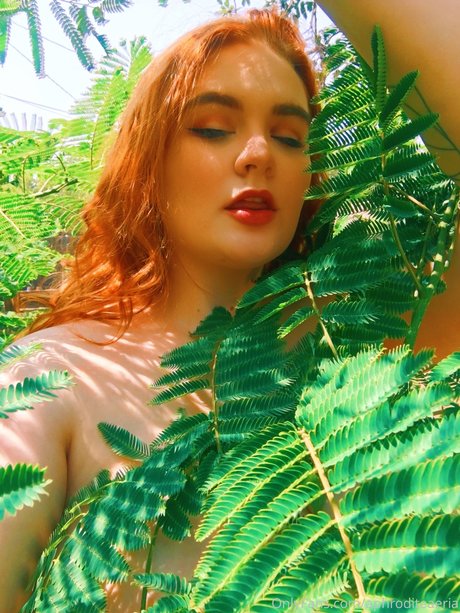 Allisonivyx top model photo