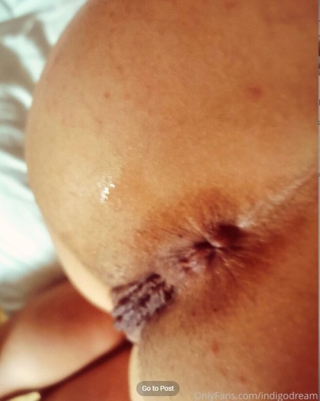 severina best star archive