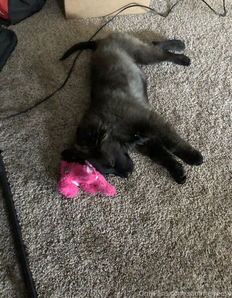 Summerreese star nude archive