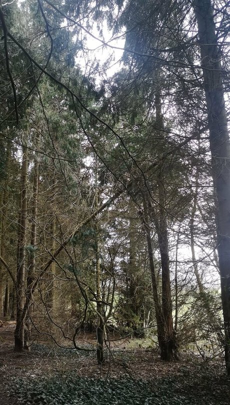 the kitty amore nice model photo