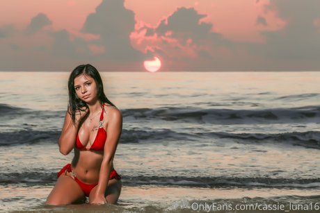 Cassie Luna model nudes pics