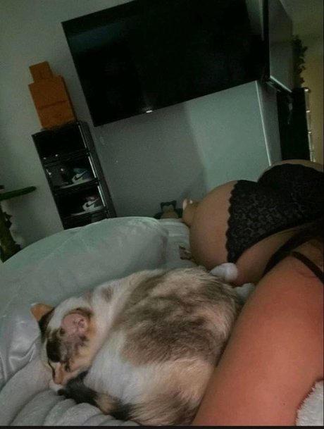 GMayaOF star hd galleries