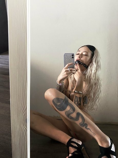 segamega drive hd model images