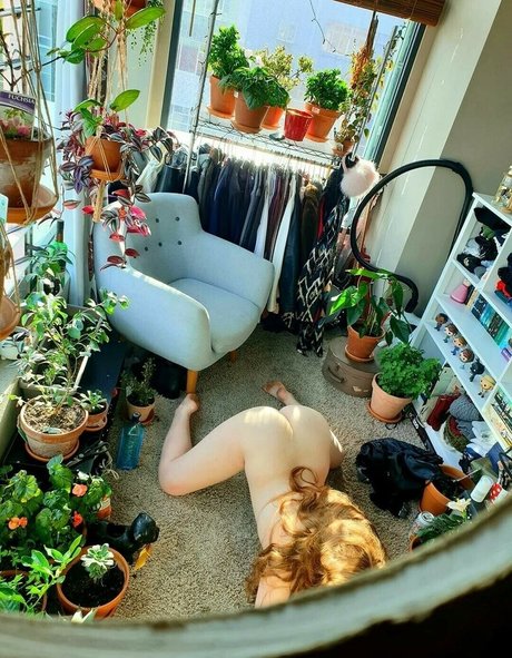 anabalfe nude model archive