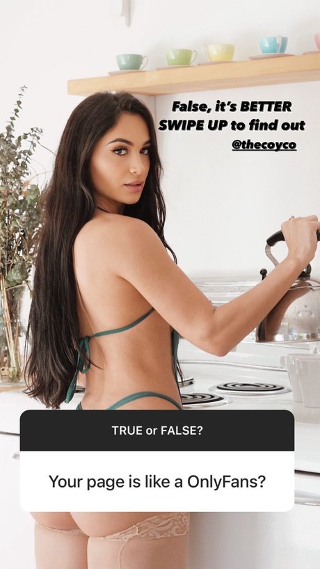 Vanessa christine pornstar perfect archive