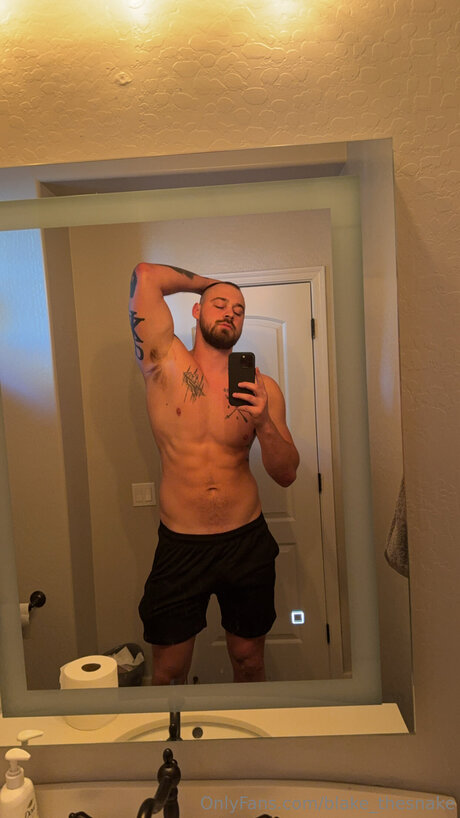 Blake Thesnake art star pics