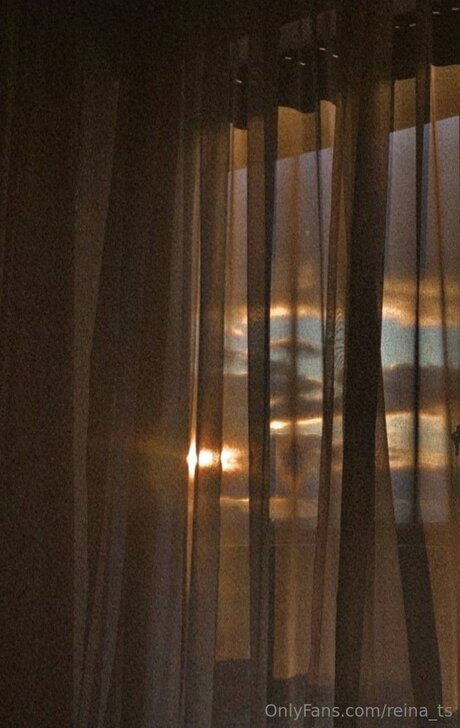 Reina Ts top model photo