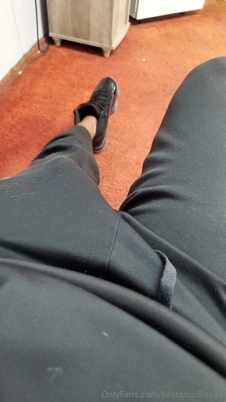 Dextercollins33 erotic pornstar galleries