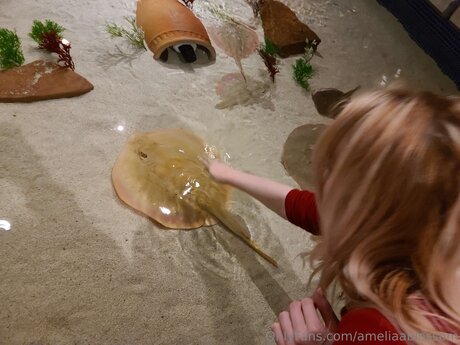 Ameliaablossom nice actress galleries