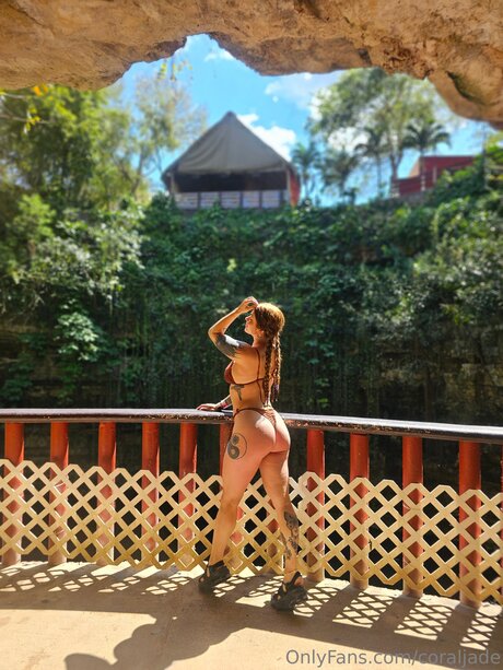 Coraljade star free pic