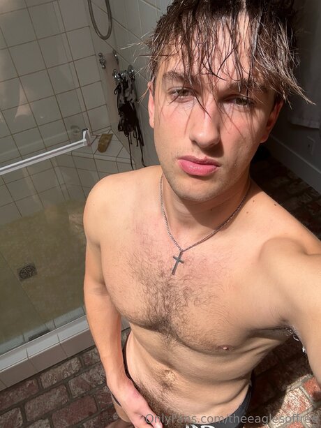 Theeaglesoffree nice star gallery