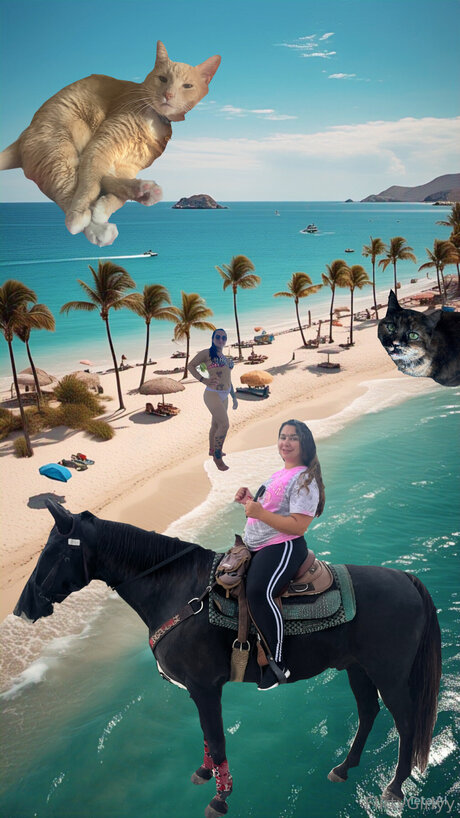 Bellathecat sex star photos