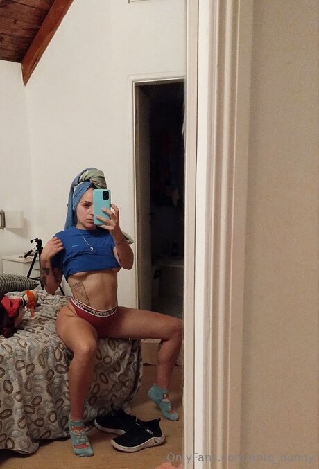 Anto Bunny model art image