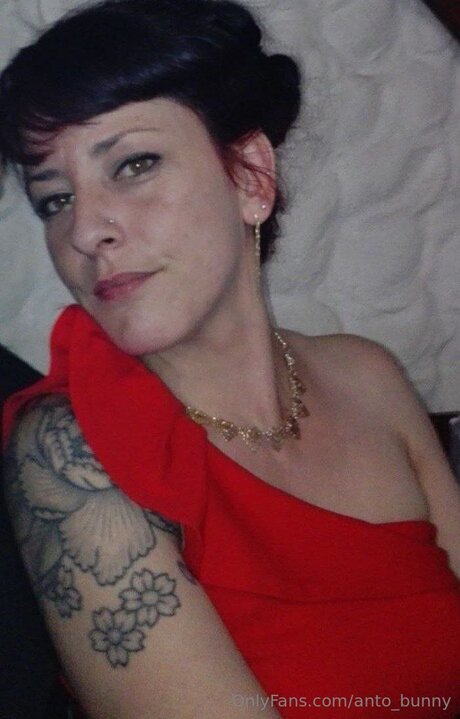 Anto Bunny porn star pic