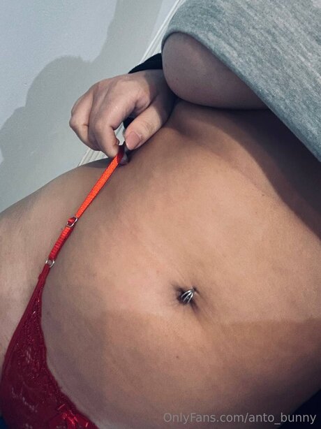 Anto Bunny star pornographic pics