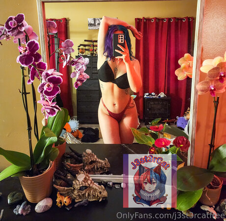 J3st3rcatfree high quality star galleries