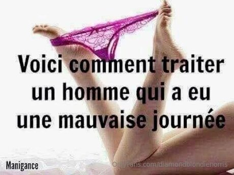 Diamondblondienorris perfect star image