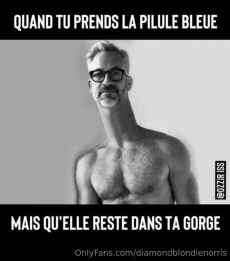 Diamondblondienorris art model image