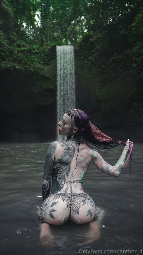 Panther 4 art model images