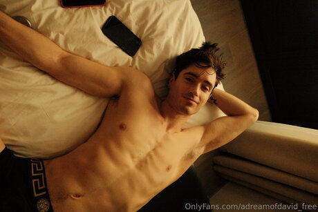 Adreamofdavid Free high quality model archive