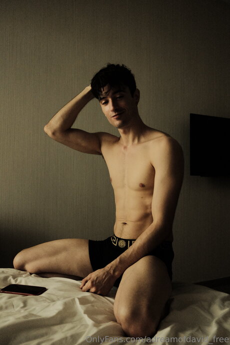 Adreamofdavid Free nude actress gallery